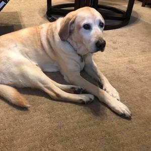 Meet your Posher, Lorine